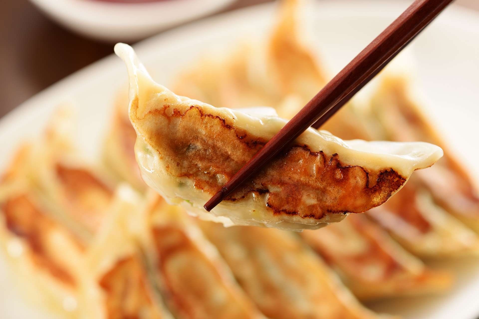 餃子を提供 | 東京都神楽坂のスナックなら鳥多麻餃子 スナック ANELA
